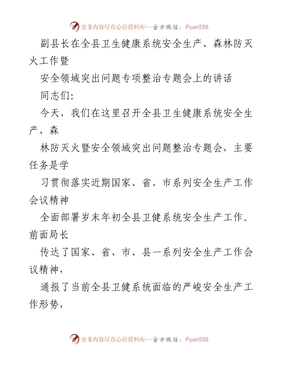 [发言] 会议 - 全县卫生健康系统安全生产工作暨突出问题整治的重要讲话.docx_第1页