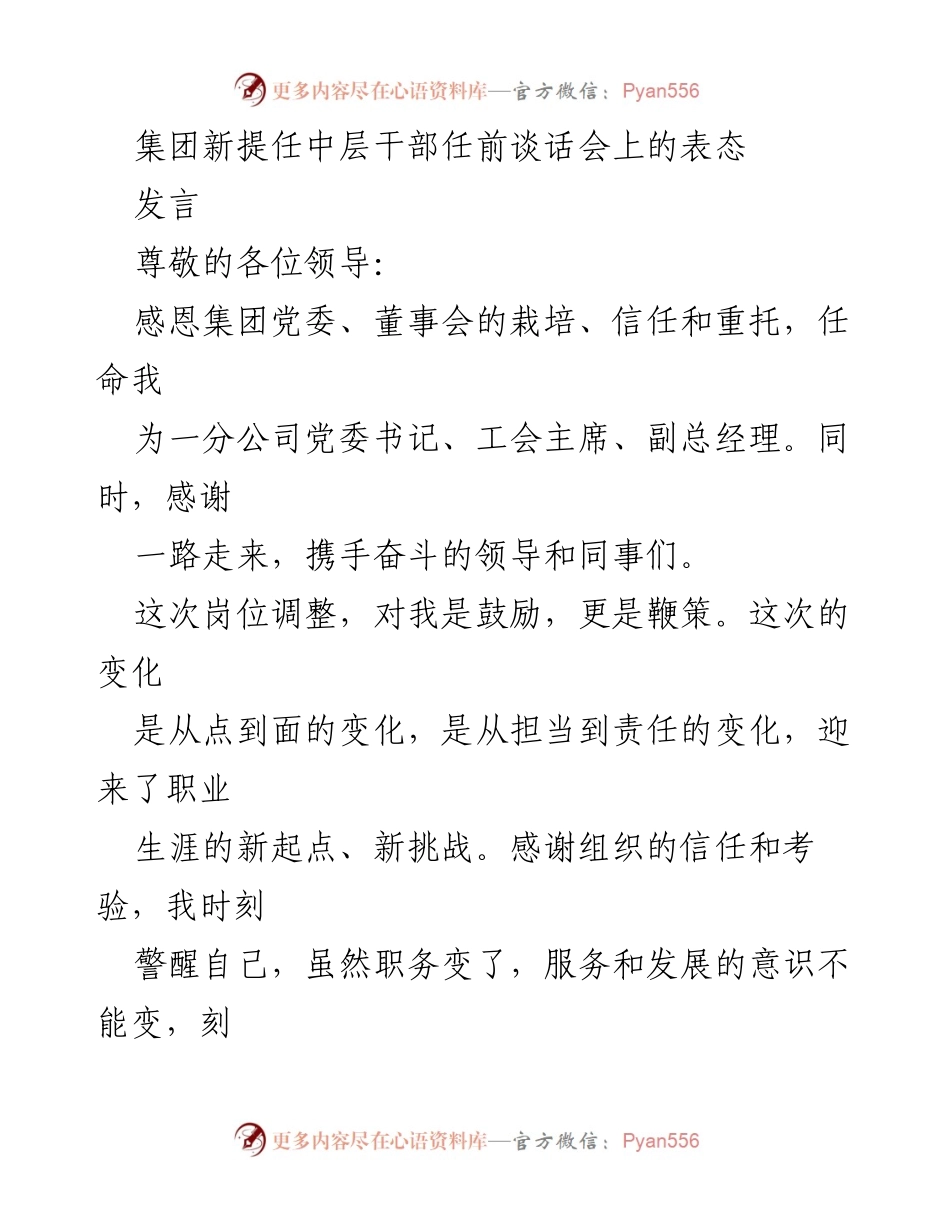 [发言] 任前谈话会 - 新任党委书记的承诺与展望.docx_第1页