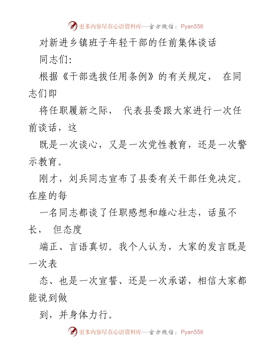 [发言] 任前谈话 - 新进乡镇班子年轻干部的任前谈话与期望.docx_第1页