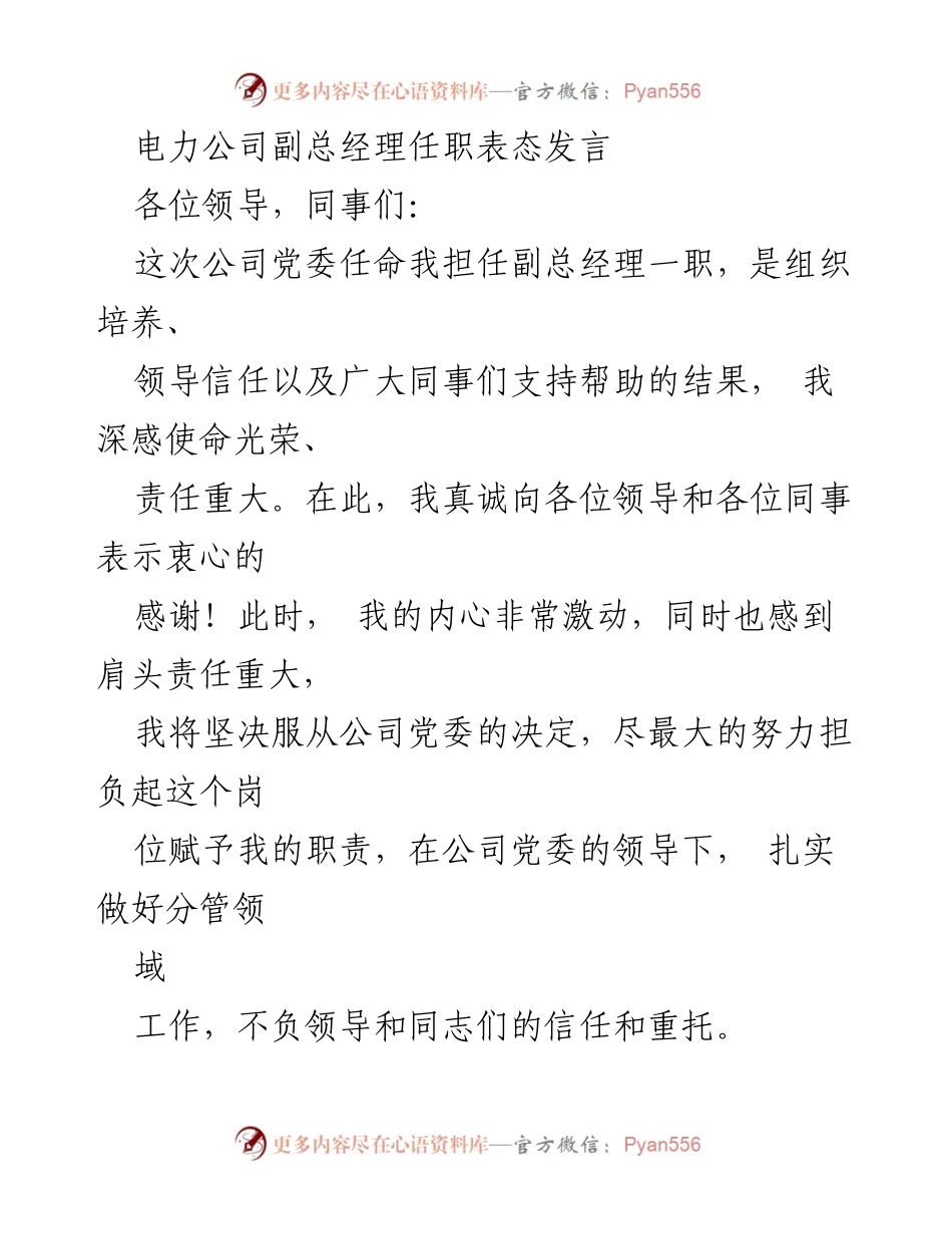 [发言] 任职仪式 - 电力公司副总经理任职表态发言.docx_第1页