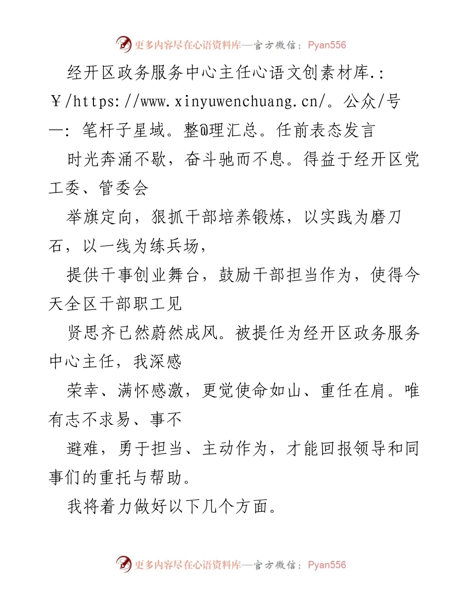 [发言] 任前表态 - 经开区政务服务中心主任任前表态发言.docx_第1页