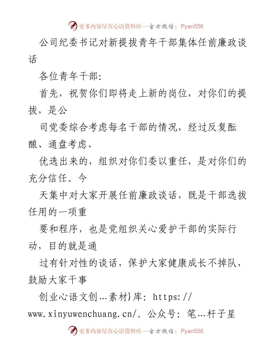 [发言] 任前廉政谈话 - 新任青年干部廉政要求与期望.docx_第1页