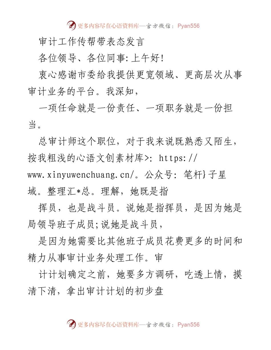 [发言] 任职仪式 - 总审计师任职表态发言.docx_第1页