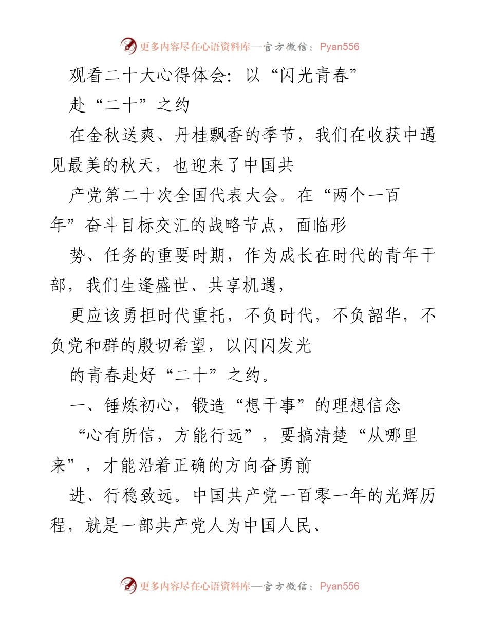 [发言] 二十大会议 - 青年干部的使命与担当：以“闪光青春”赴“二十”之约_1.docx_第1页