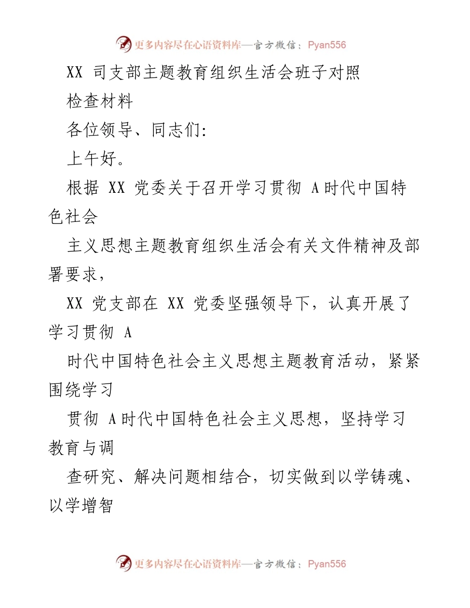 [发言] 主题教育组织生活会 - 班子对照检查材料总结.docx_第1页
