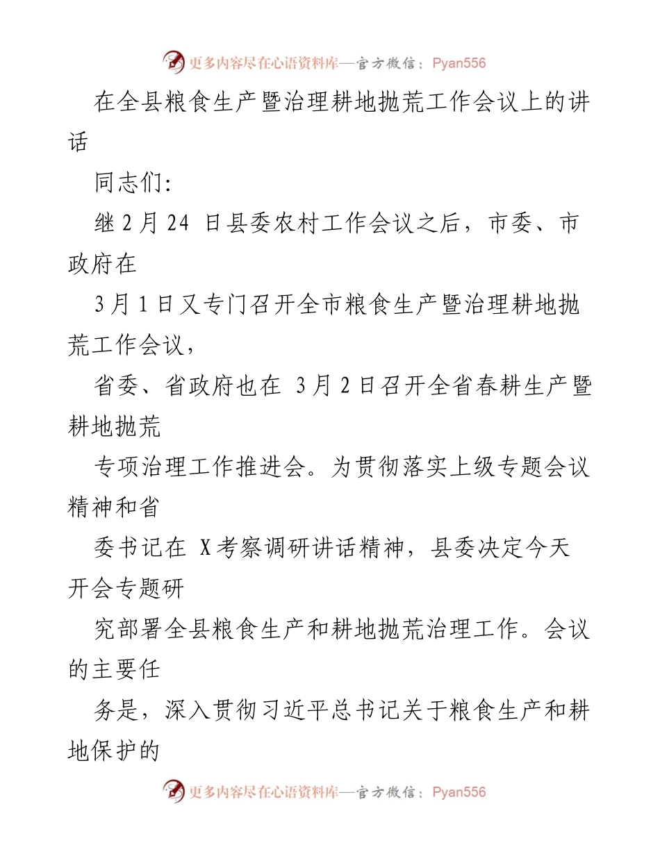 [发言] 会议 - 全县粮食生产与耕地抛荒治理工作讲话.docx_第1页