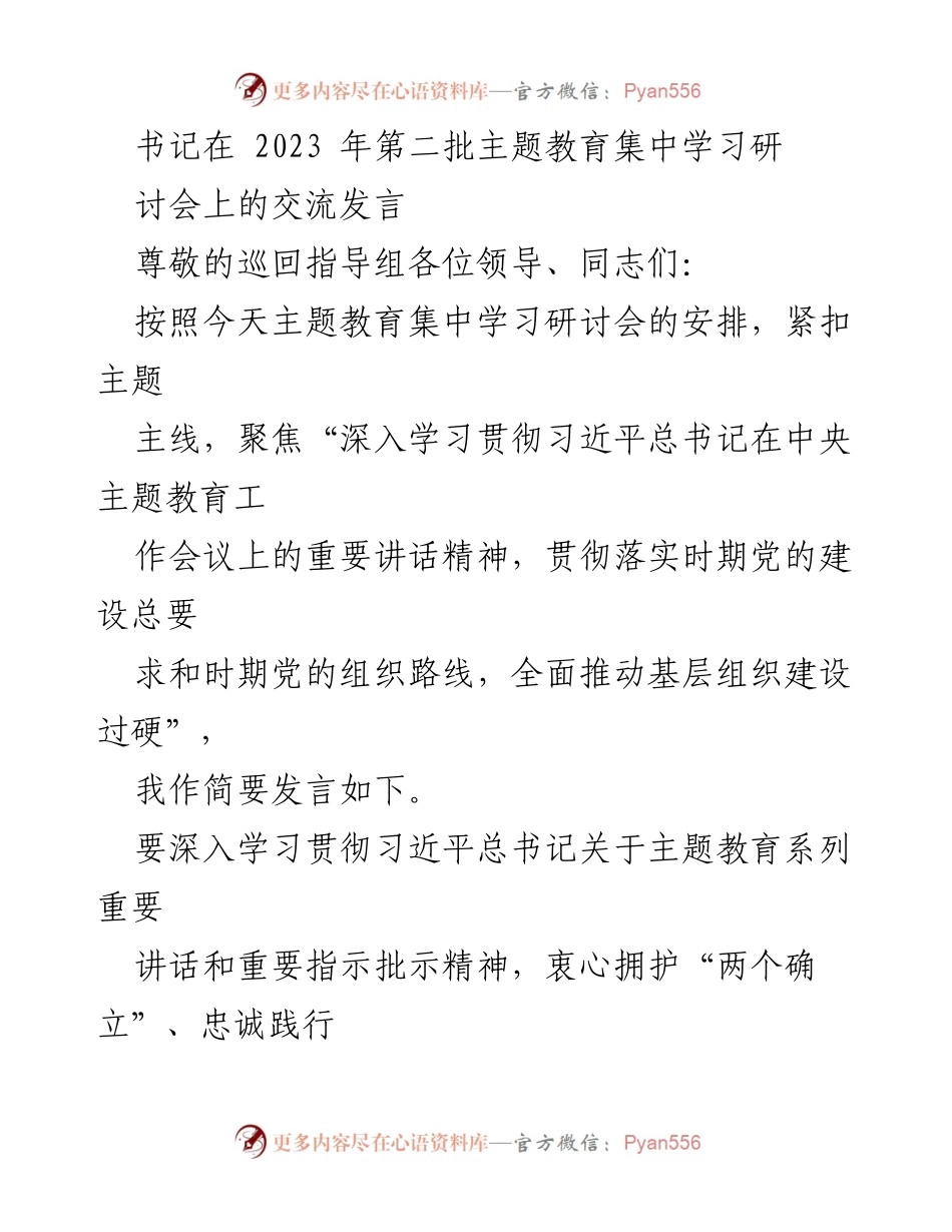 [发言] 主题教育集中学习研讨会 - 深入推进第二批主题教育的实施与责任担当.docx_第1页