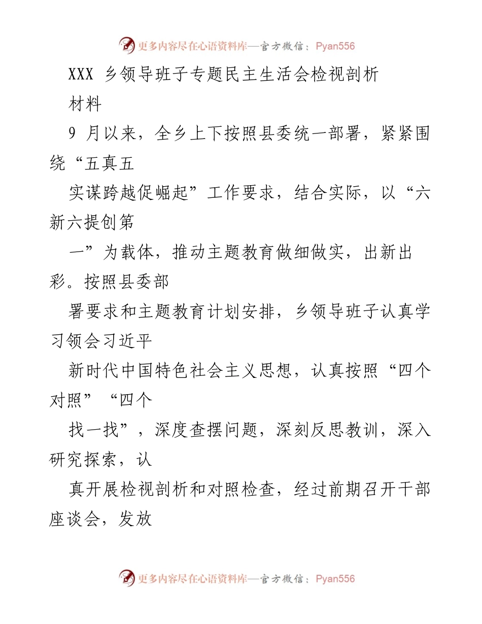 [发言] 乡领导班子专题民主生活会 - 乡领导班子主题教育检视剖析报告.docx_第1页