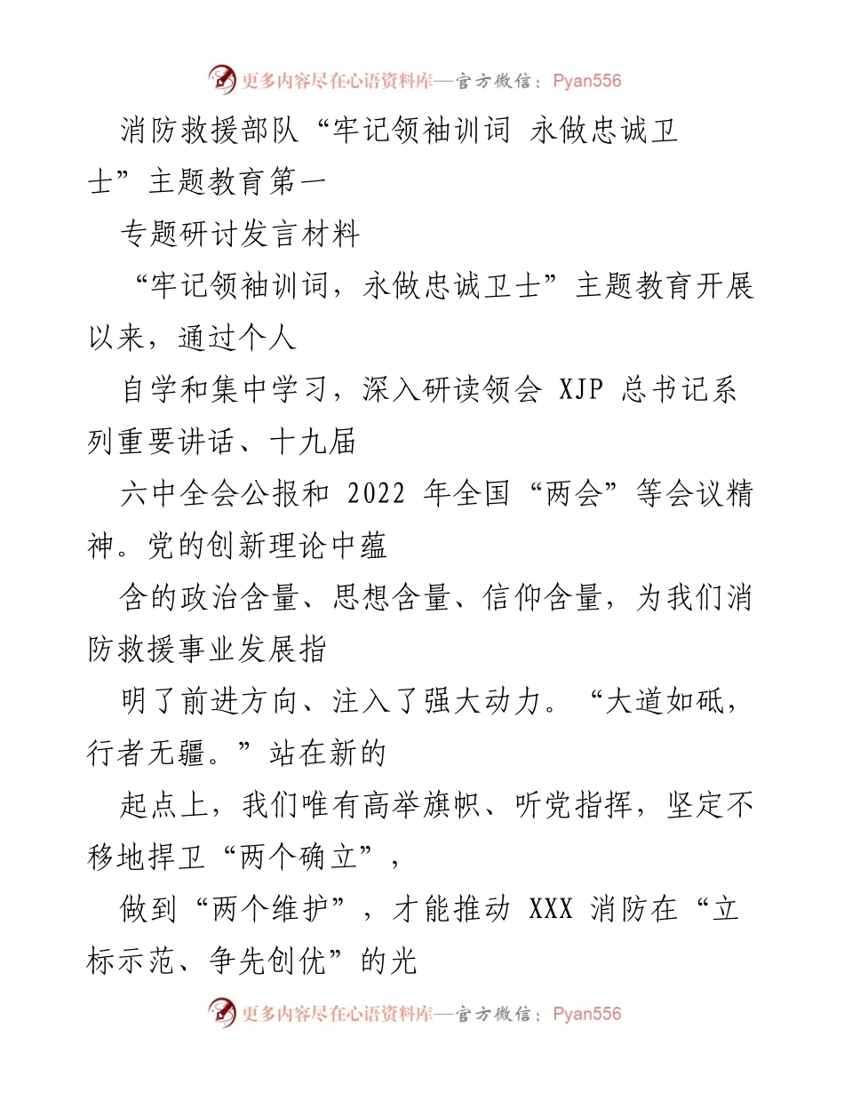 [发言] 主题教育研讨会 - 牢记领袖训词，永做忠诚卫士的使命与担当.docx_第1页