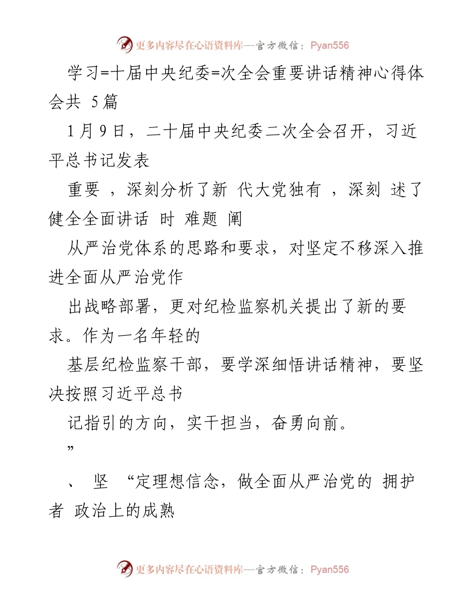 [发言] 二十届中央纪委二次全会 - 深入学习习近平总书记重要讲话精神的心得体会_1.docx_第1页