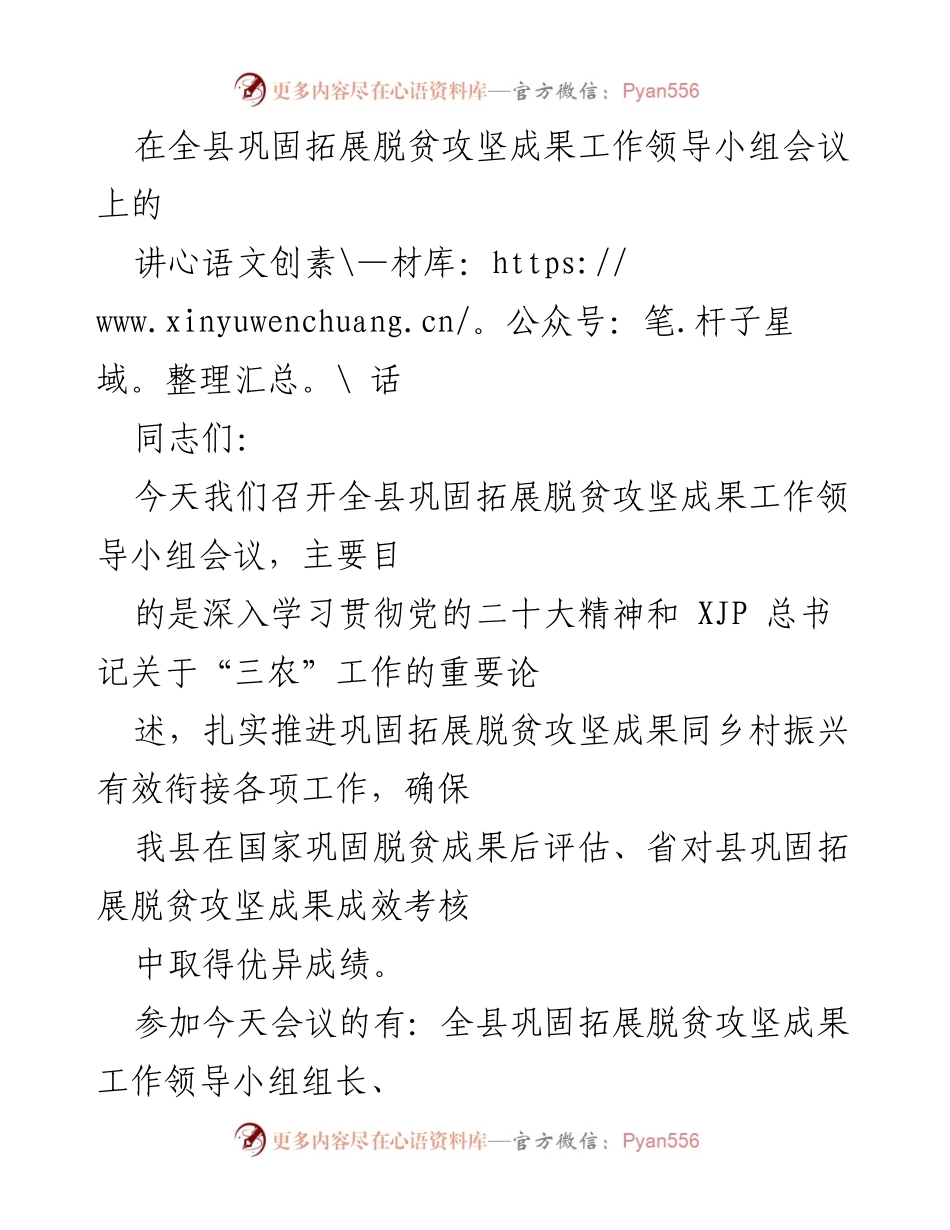 [发言] 会议 - 全县巩固拓展脱贫攻坚成果工作领导小组会议讲话.docx_第1页
