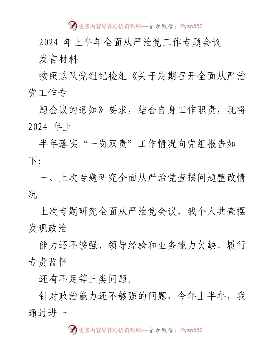 [发言] 会议 - 2024年上半年全面从严治党工作落实情况发言材料.docx_第1页