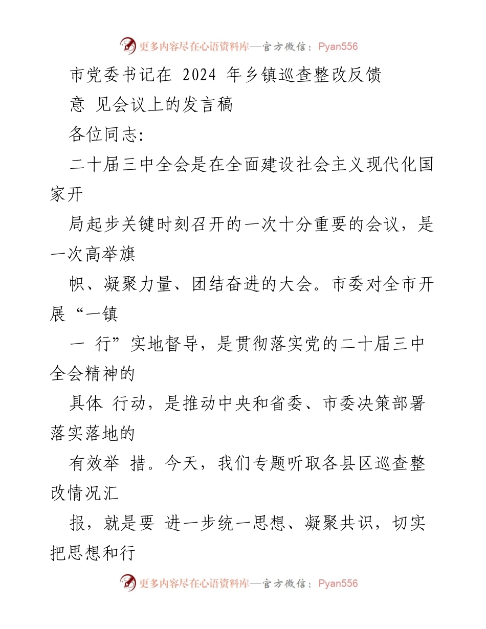 [发言] 乡镇巡查整改反馈意见会议 - 强调巡视整改的重要性与责任落实.docx_第1页