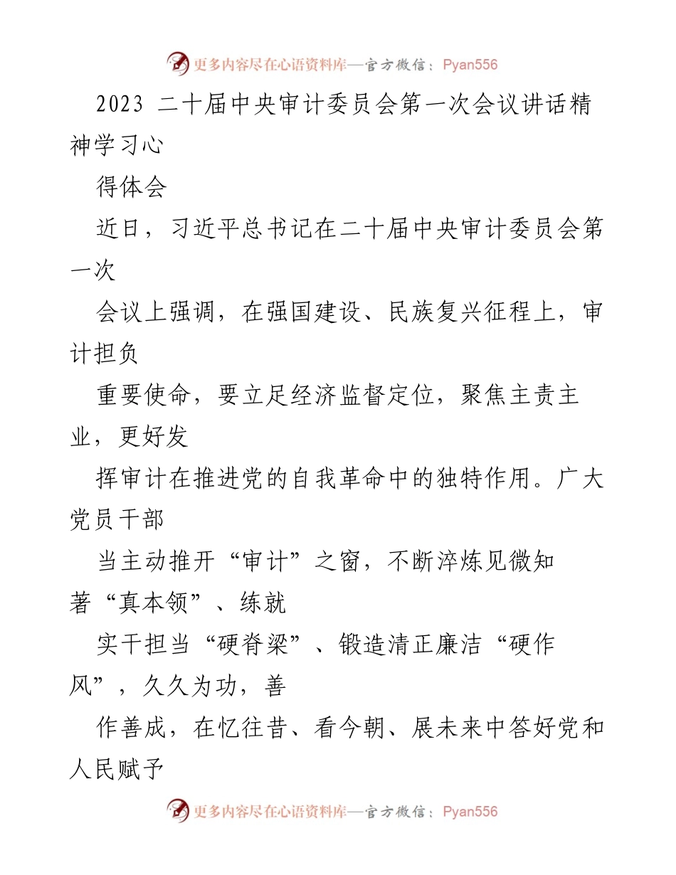 [发言] 二十届中央审计委员会第一次会议 - 学习习近平总书记讲话精神，推动审计工作助力经济发展与民生保障.docx_第1页