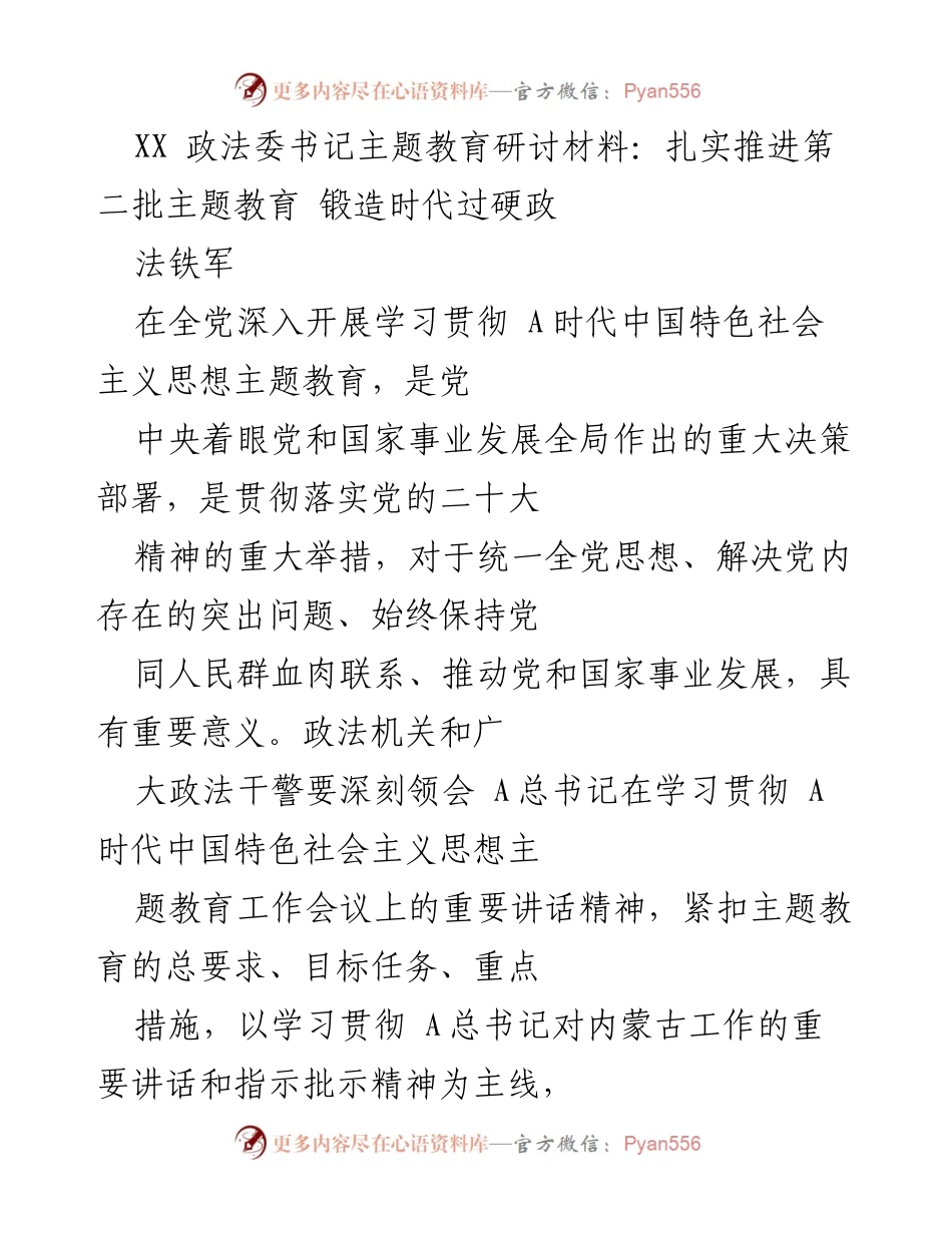 [发言] 主题教育研讨会 - 扎实推进主题教育，锻造过硬政法铁军.docx_第1页