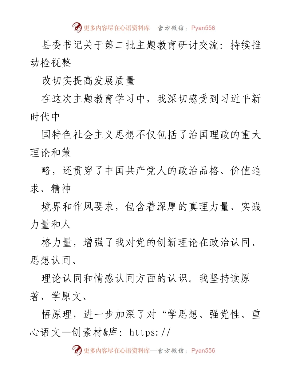 [发言] 主题教育研讨会 - 持续推动检视整改，提升发展质量.docx_第1页