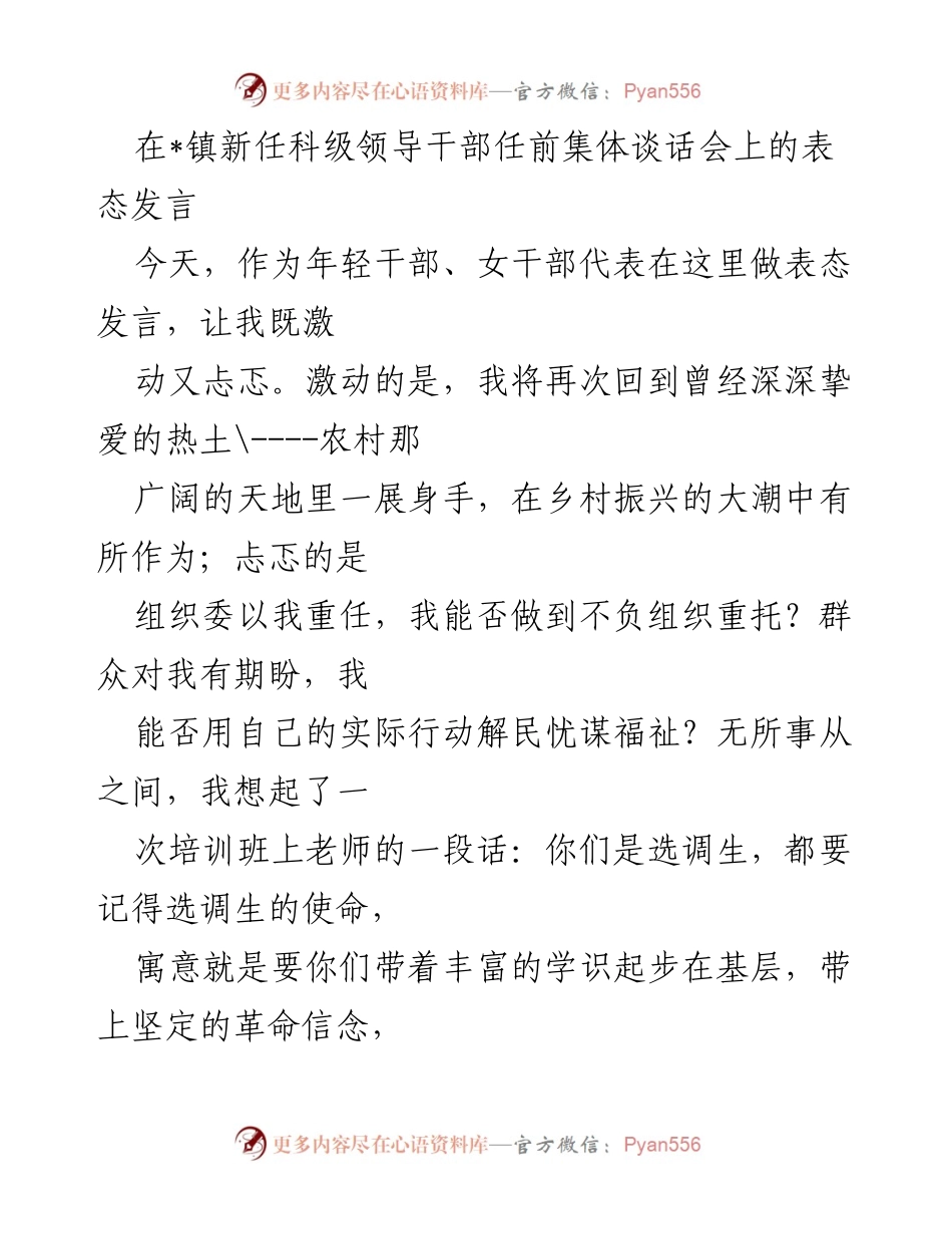 [发言] 任前集体谈话会 - 新任科级干部的表态与承诺.docx_第1页
