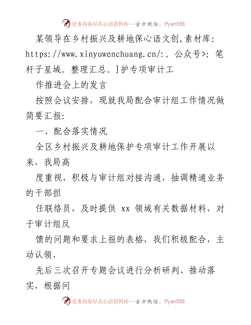 [发言] 乡村振兴及耕地保护专项审计工作推进会 - 领导发言：审计配合与整改措施.docx_第1页