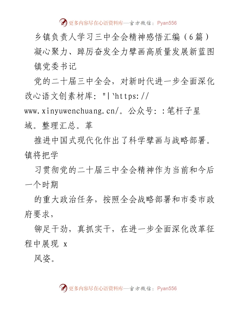 [发言] 乡镇党委会议 - 学习贯彻党的二十届三中全会精神的实践与展望.docx_第1页
