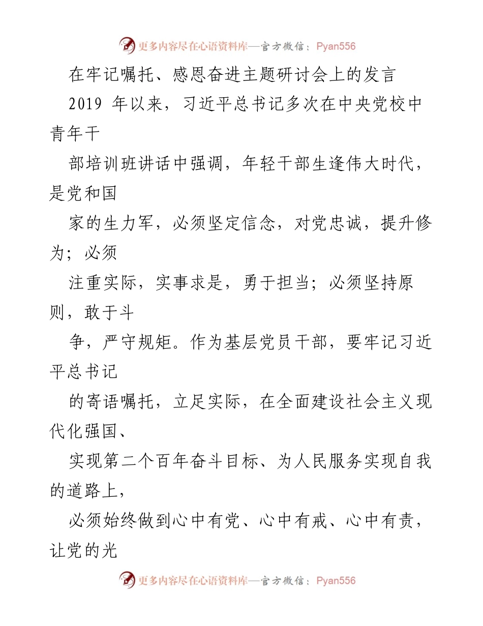 [发言] 主题研讨会 - 坚定信念，牢记嘱托：年轻干部的使命与责任.docx_第1页