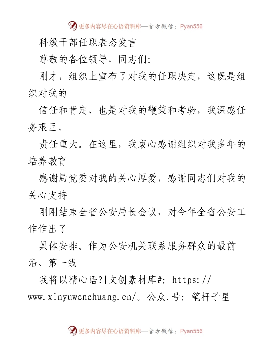 [发言] 任职表态 - 坚定信念，服务群众，勇担使命.docx_第1页