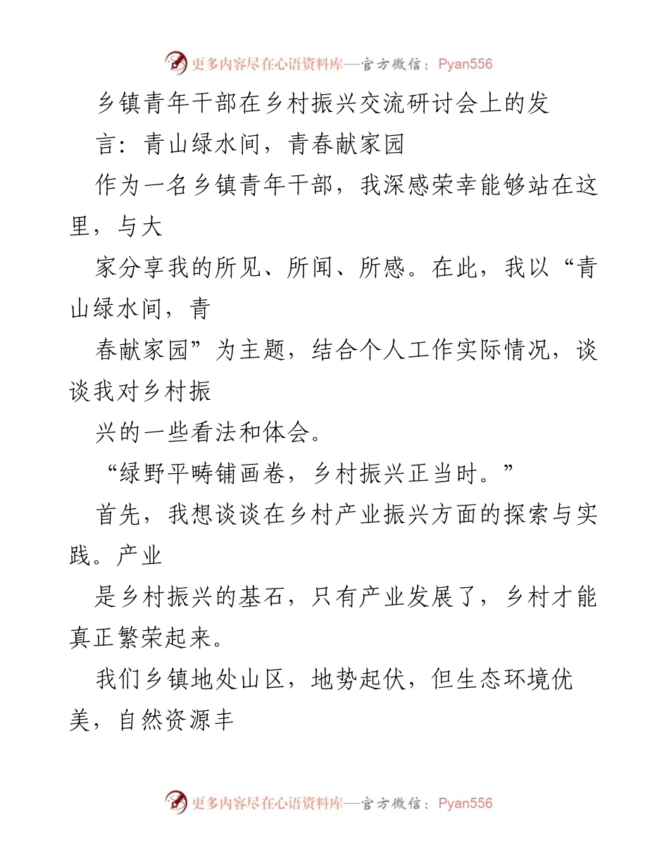 [发言] 乡村振兴交流研讨会 - 青春助力乡村振兴：探索与实践的分享.docx_第1页