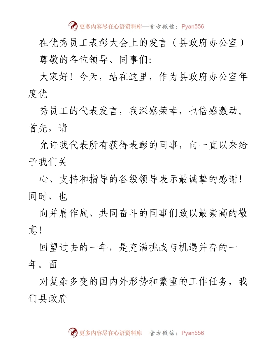 [发言] 优秀员工表彰大会 - 表彰优秀，激励担当：县政府办公室年度总结发言.docx_第1页