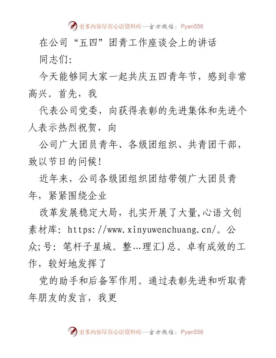 [发言] 五四青年节座谈会 - 重视青年工作，助力公司发展.docx_第1页