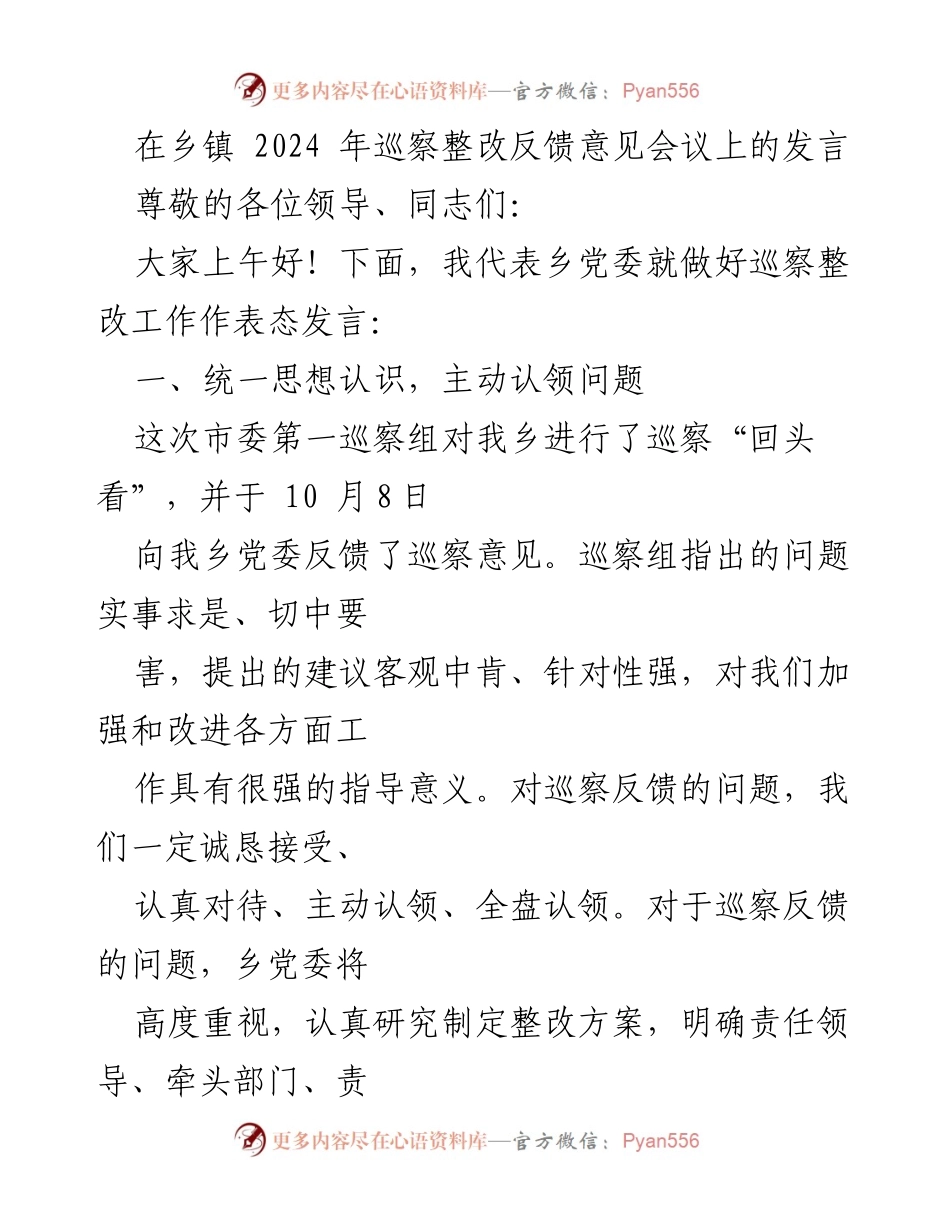[发言] 乡镇巡察整改反馈会议 - 强化巡察整改，推动高质量发展.docx_第1页
