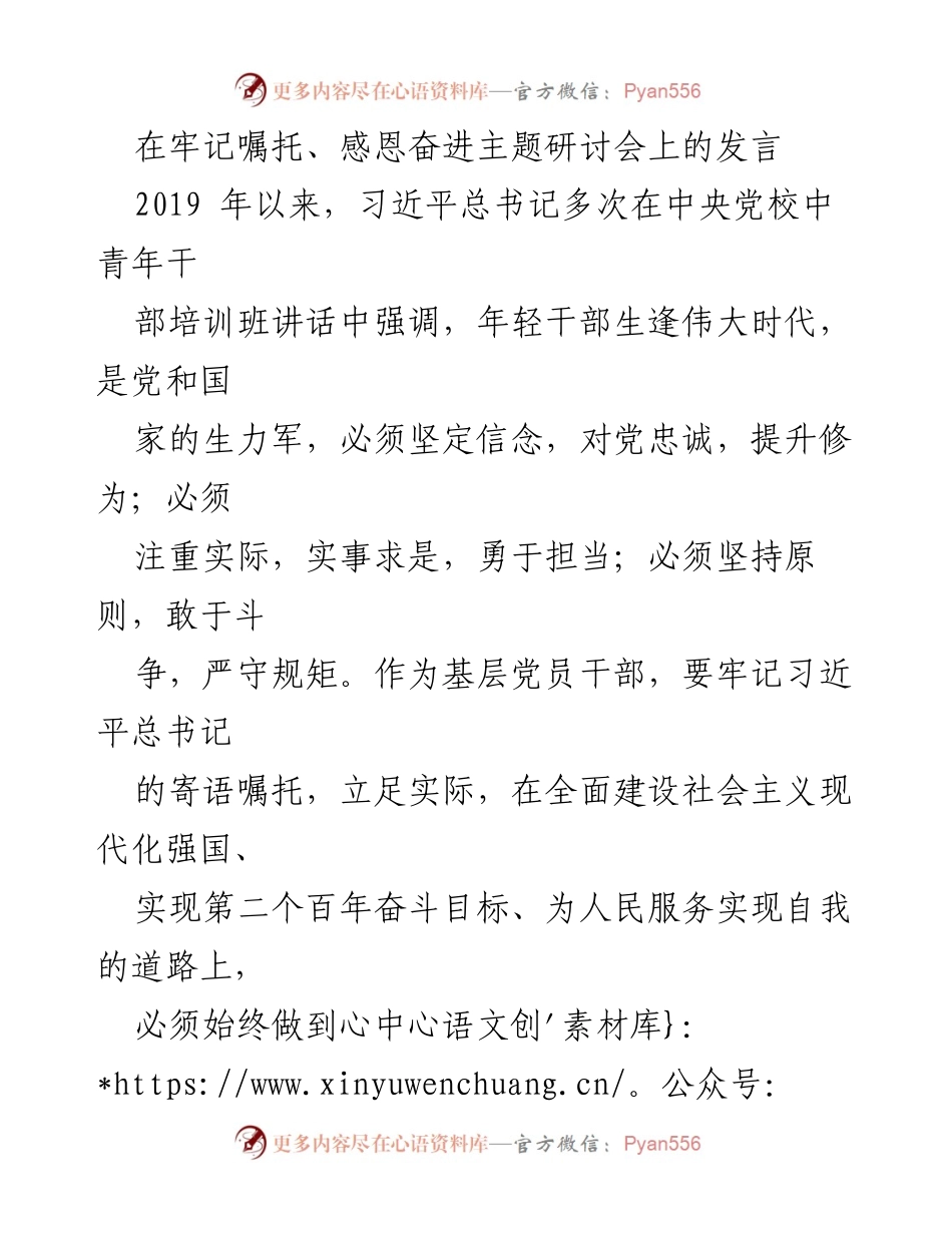 [发言] 主题研讨会 - 坚定信念，牢记嘱托：年轻干部的使命与担当.docx_第1页