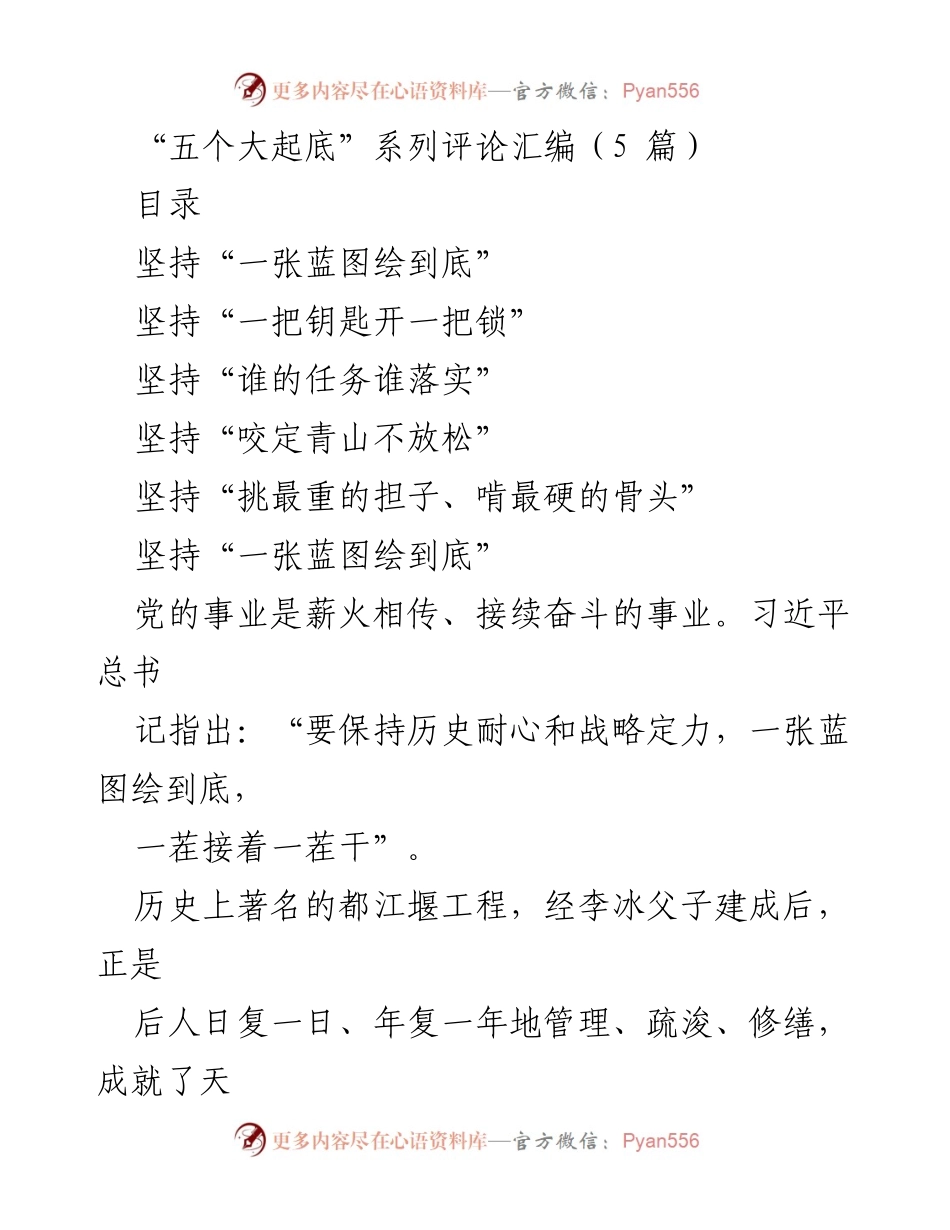 [发言] 会议 - “五个大起底”行动的实施与推进策略.docx_第1页