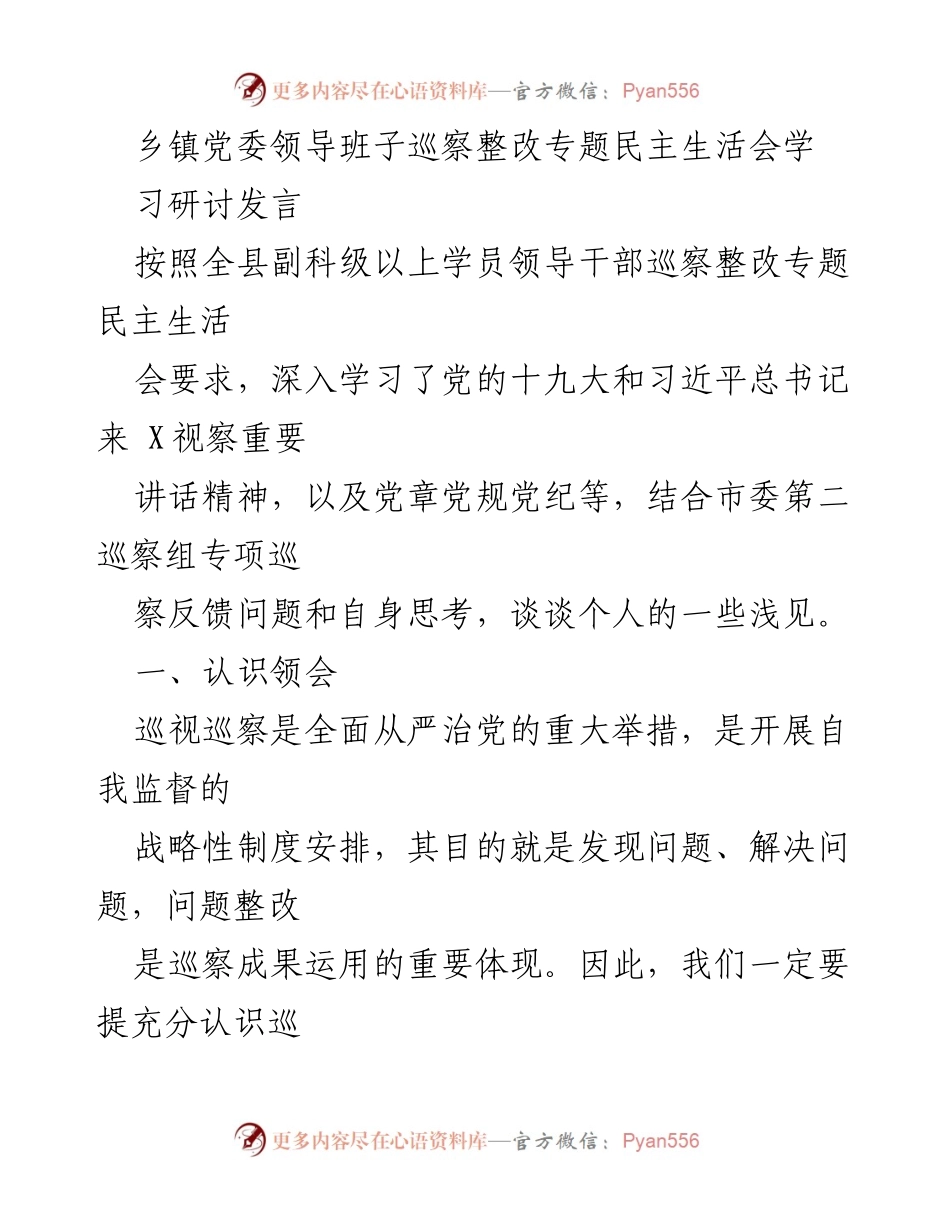 [发言] 乡镇党委领导班子巡察整改专题民主生活会 - 深入学习巡察整改的重要性与责任落实.docx_第1页