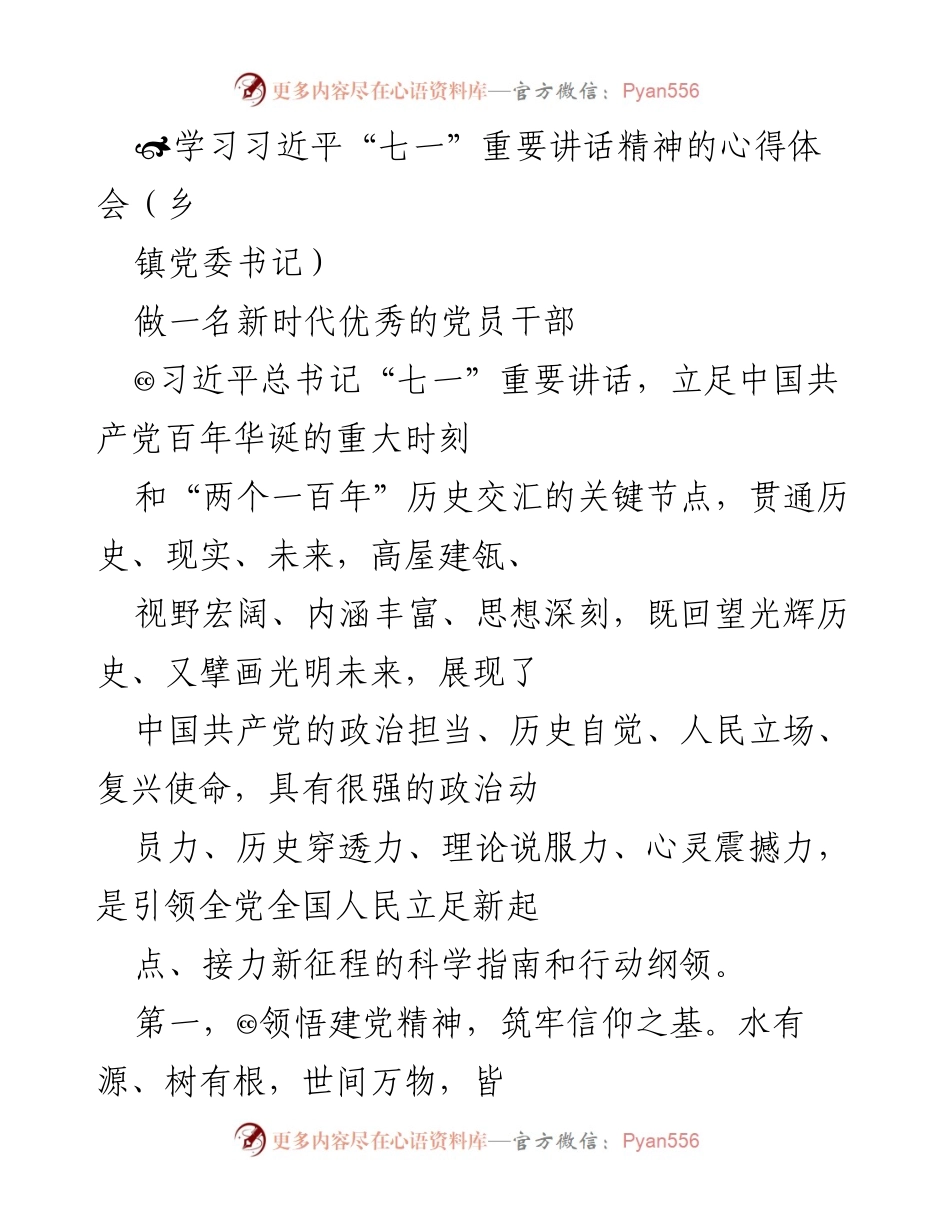 [发言] 乡镇党委会议 - 学习习近平“七一”重要讲话精神，做新时代优秀党员干部.docx_第1页