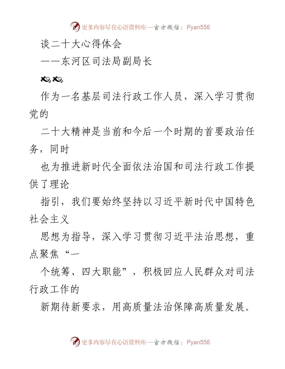 [发言] 二十大精神学习会 - 深入学习贯彻党的二十大精神，推动司法行政高质量发展.docx_第1页