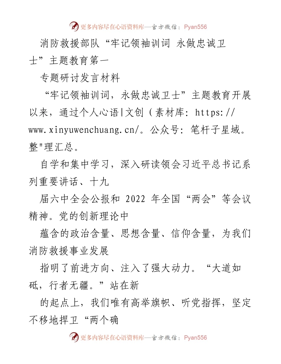 [发言] 主题教育研讨会 - “牢记领袖训词，永做忠诚卫士”——深化消防救援队伍改革的思考与实践.docx_第1页
