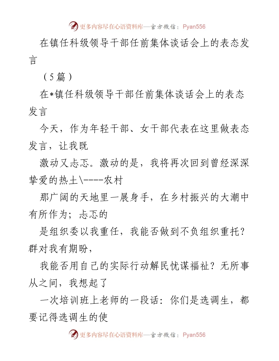 [发言] 任前集体谈话会 - 年轻干部的责任与担当.docx_第1页