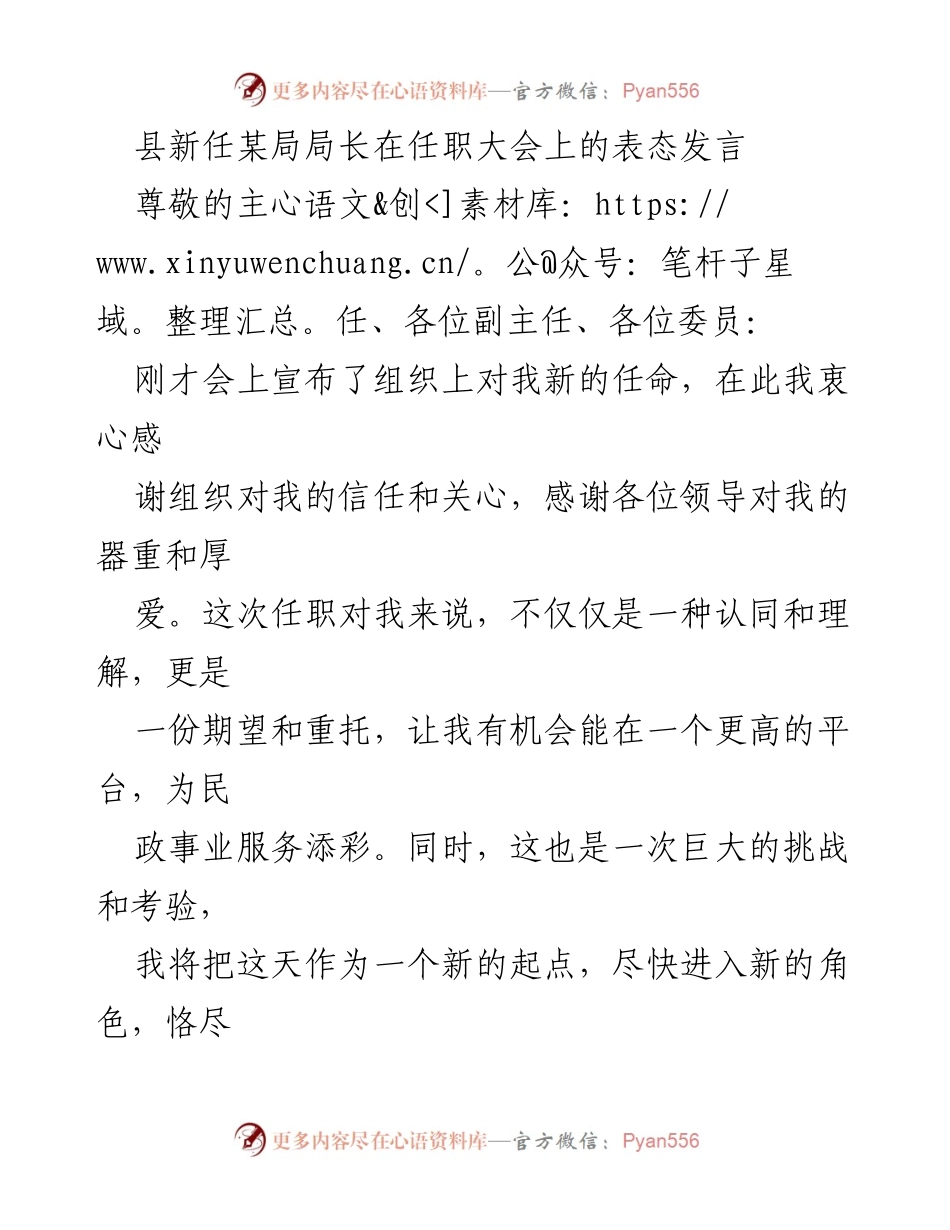 [发言] 任职大会 - 新局长的任职表态与工作承诺.docx_第1页