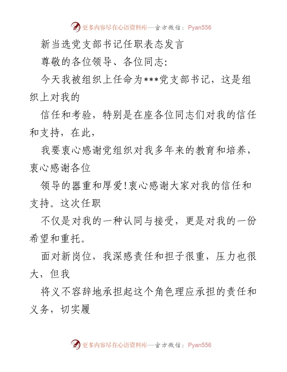 [发言] 任职会议 - 新任党支部书记的表态发言.docx_第1页