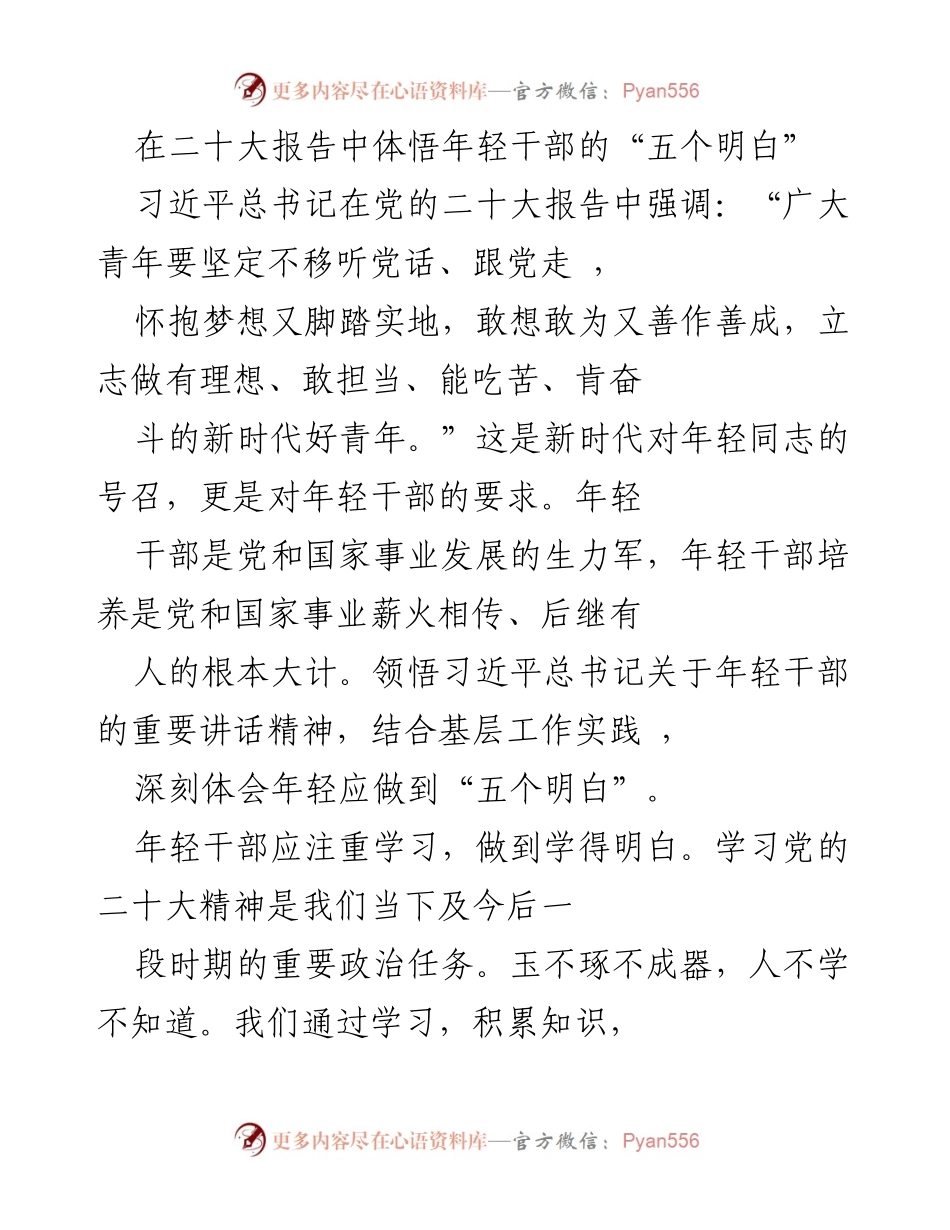 [发言] 二十大精神学习会 - 年轻干部应做到的“五个明白”.docx_第1页