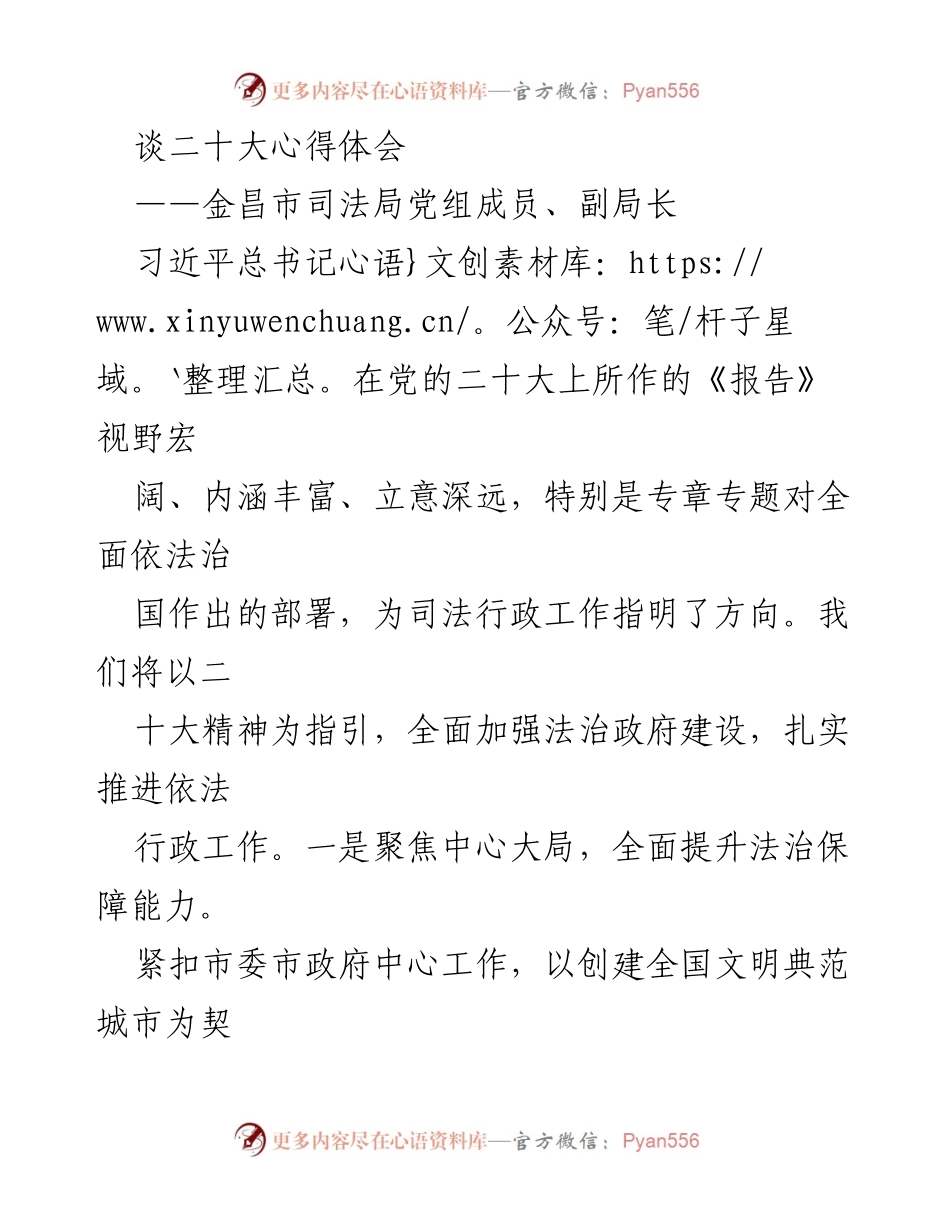 [发言] 二十大精神学习交流会 - 以二十大精神为指引，推进法治政府建设与公共法律服务.docx_第1页