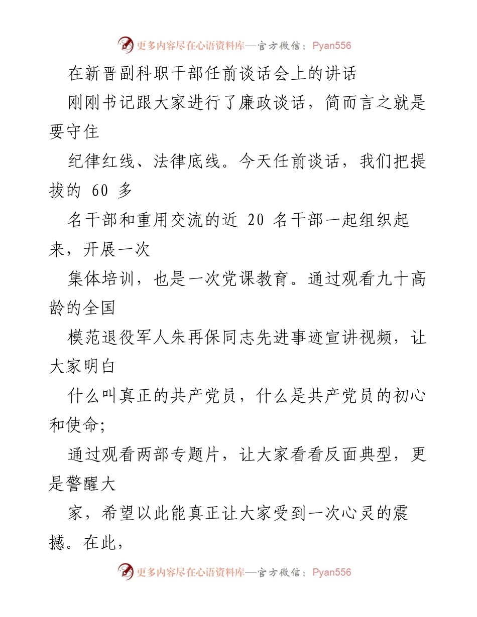 [发言] 任前谈话会 - 新晋副科职干部的职业人生第一步.docx_第1页