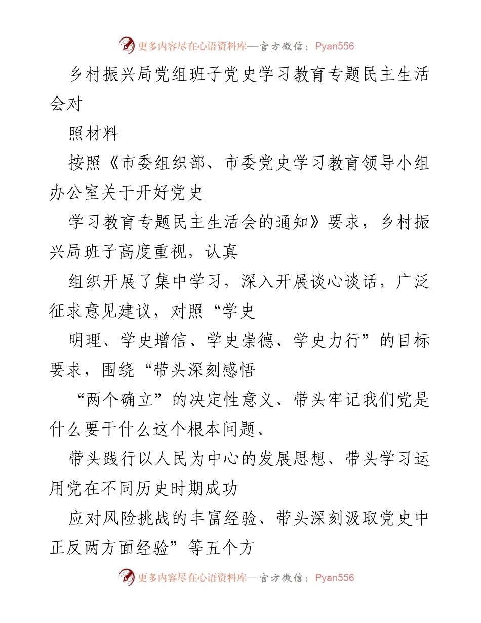 [发言] 乡村振兴局党组班子党史学习教育专题民主生活会 - 乡村振兴局党组班子对照检查及整改措施汇报.docx_第1页
