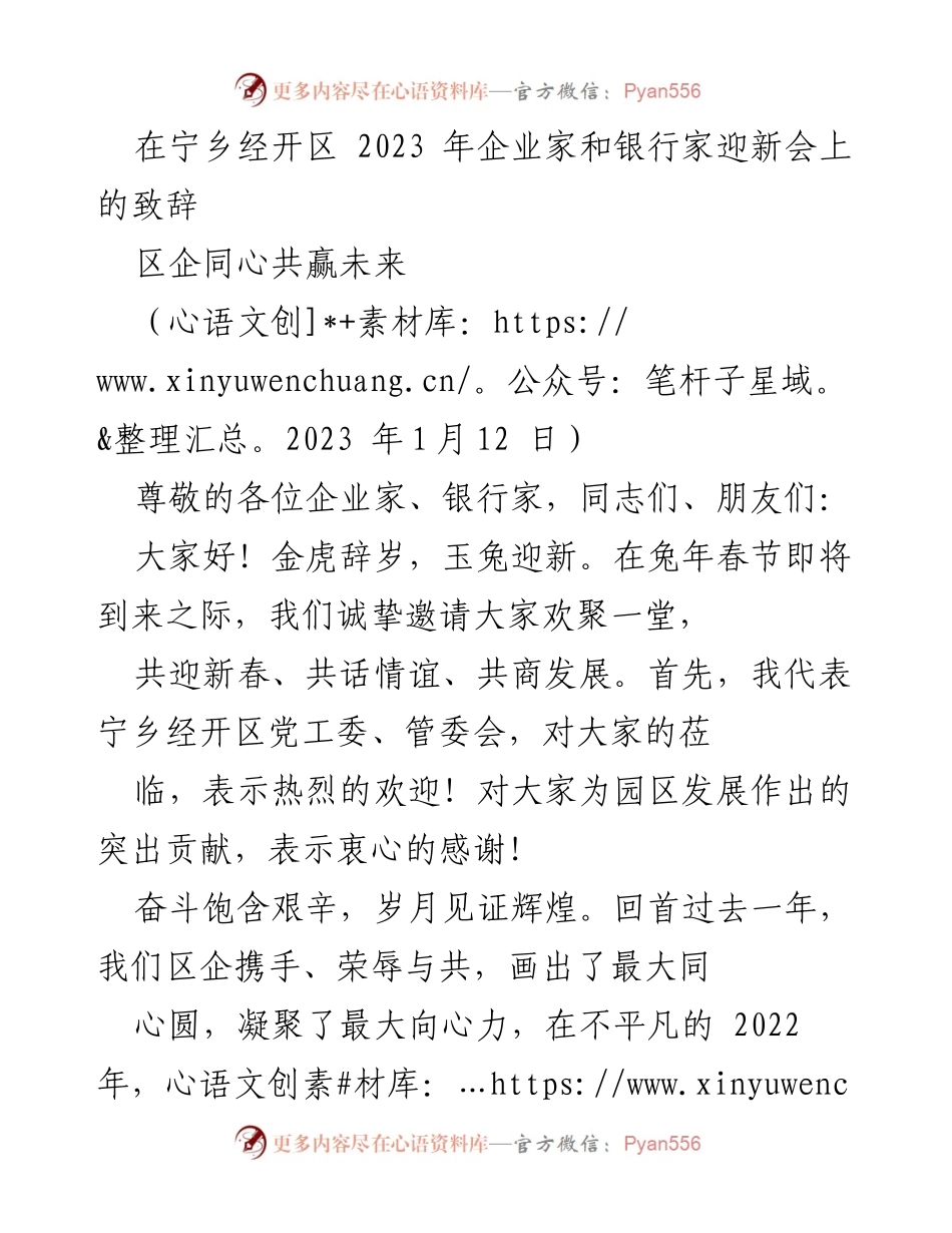 [发言] 企业家和银行家迎新会 - 共迎新春，共话发展：宁乡经开区2023年致辞.docx_第1页