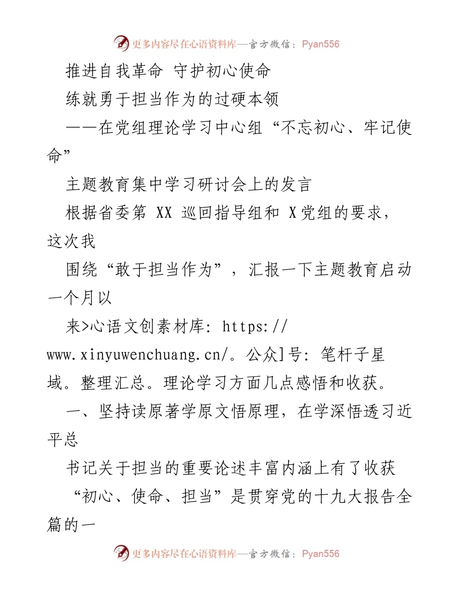 [发言] 主题教育集中学习研讨会 - 勇于担当：深化“不忘初心、牢记使命”主题教育的理论学习与实践理解.docx_第1页