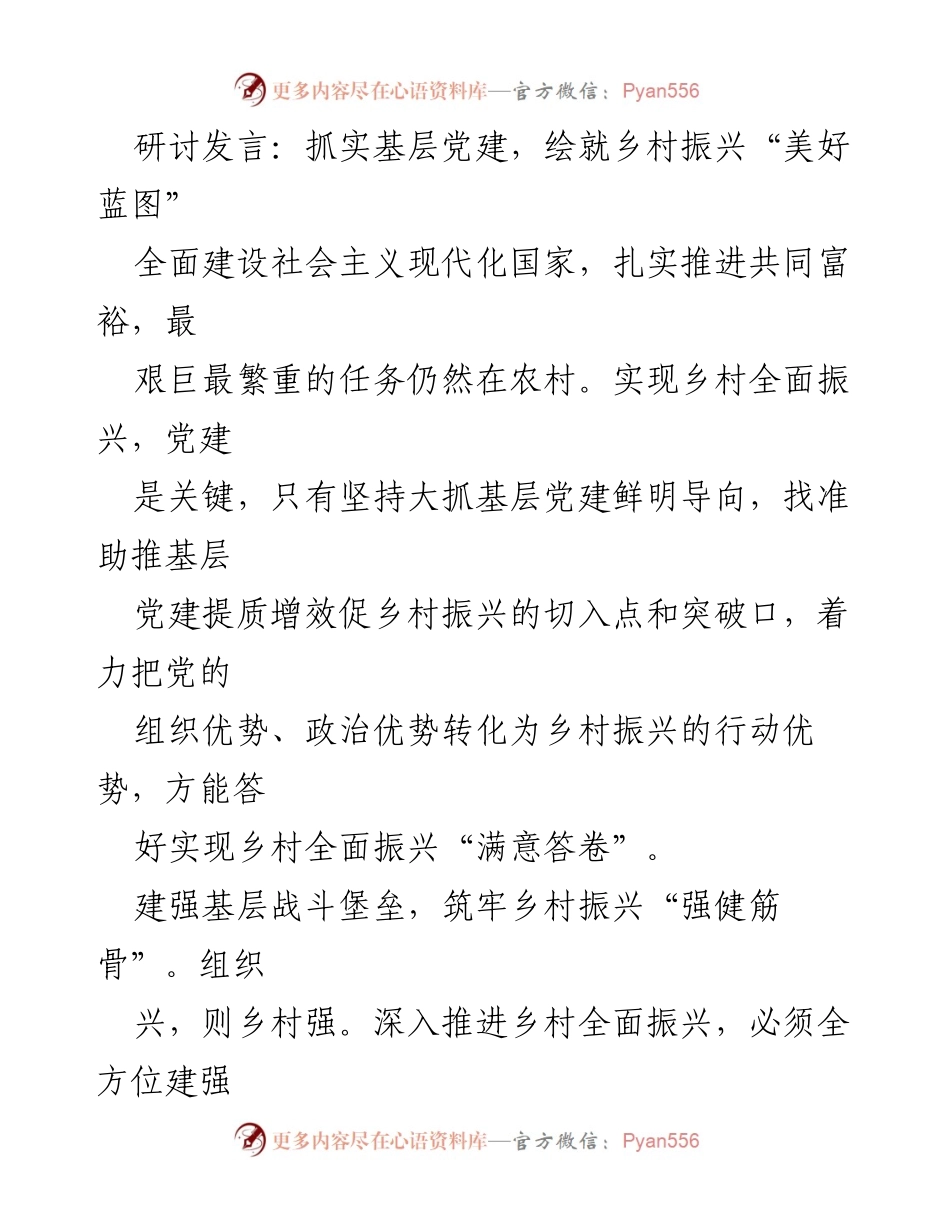[发言] 乡村振兴研讨会 - 抓实党建，推动乡村振兴新局面.docx_第1页