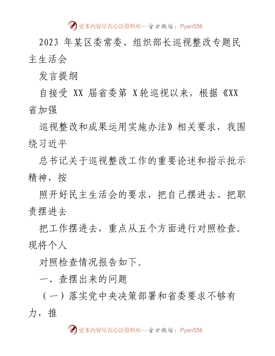[发言] 会议 - 2023年某区委常委、组织部长巡视整改专题民主生活会发言提纲.docx_第1页