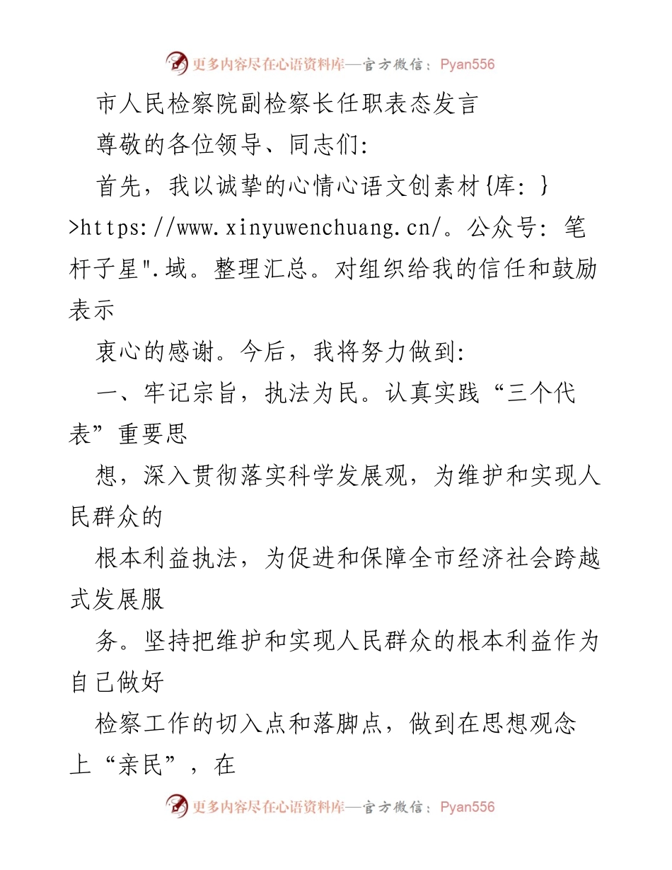 [发言] 任职表态 - 副检察长任职表态发言及工作承诺.docx_第1页