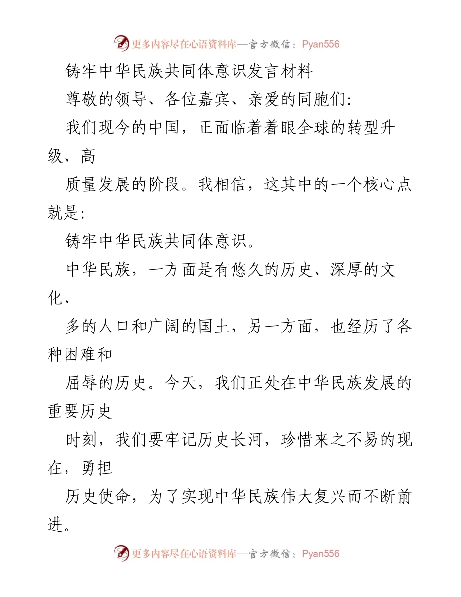 [发言] 会议 - 铸牢中华民族共同体意识的重要性与实践路径.docx_第1页