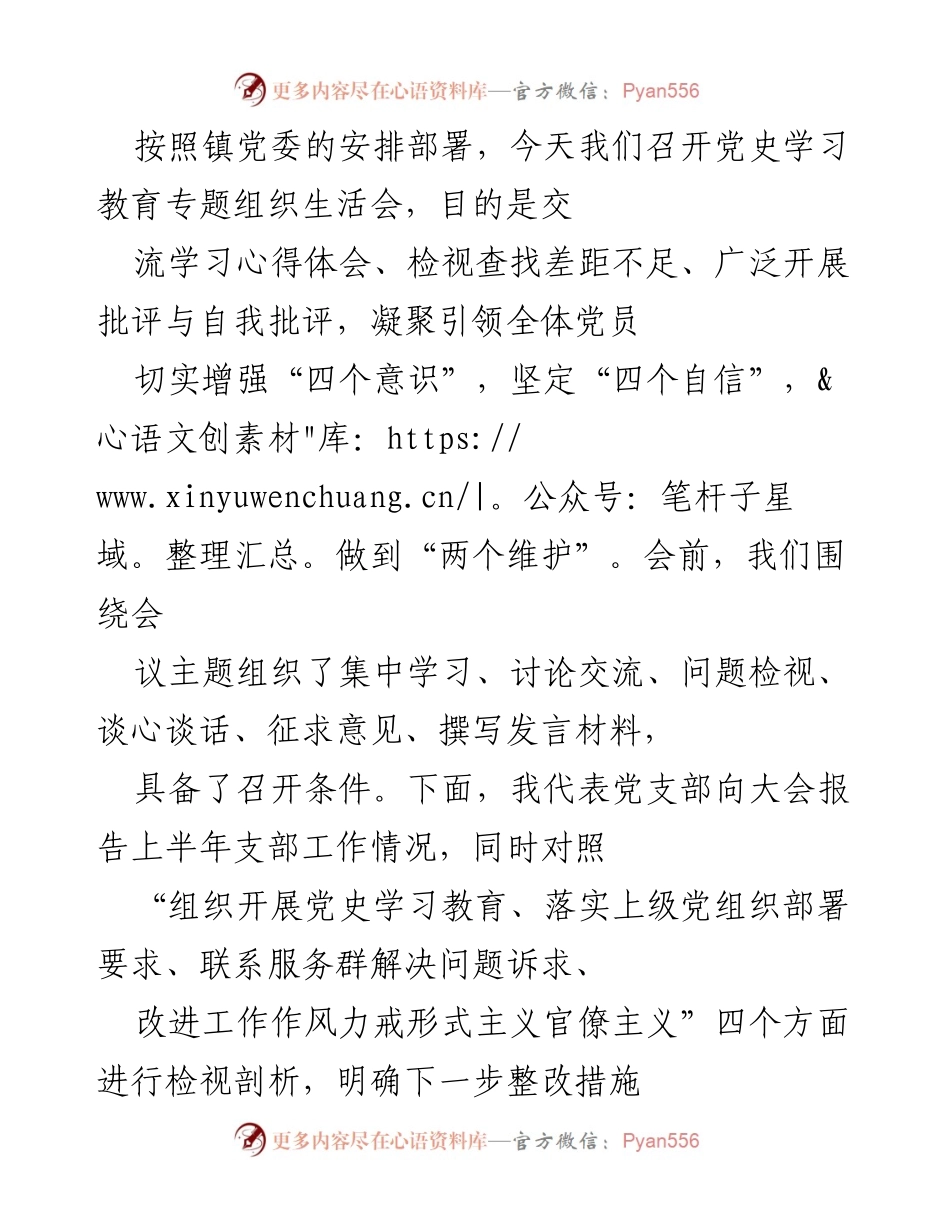 [发言] 党史学习教育专题组织生活会 - 党支部上半年工作总结及整改措施报告.docx_第1页