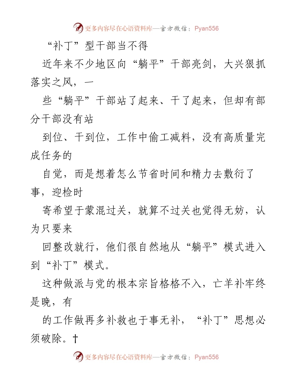 [发言] 党员干部工作会议 - “补丁”型干部的警示与整改措施.docx_第1页